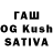 Галлюциногенные грибы GOLDEN TEACHER Kiya Israel