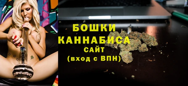 гашик Ельня