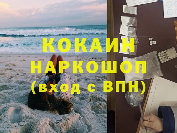гашик Ельня