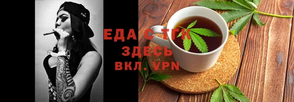 гашик Ельня