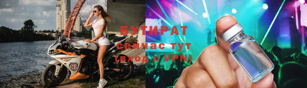 гашик Ельня