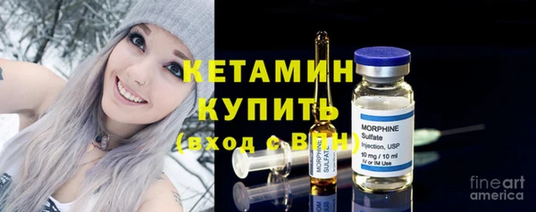 гашик Ельня