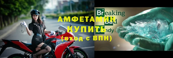 гашик Ельня