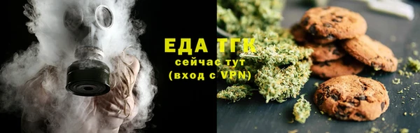 гашик Ельня