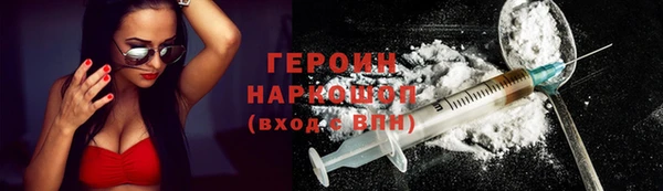 гашик Ельня
