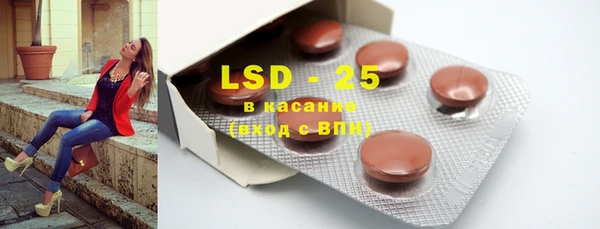 гашик Ельня