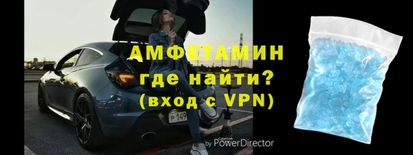 гашик Ельня