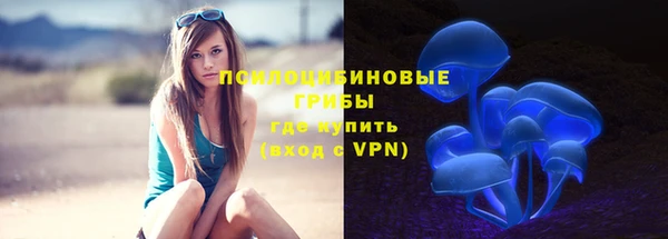 2c-b Елизово