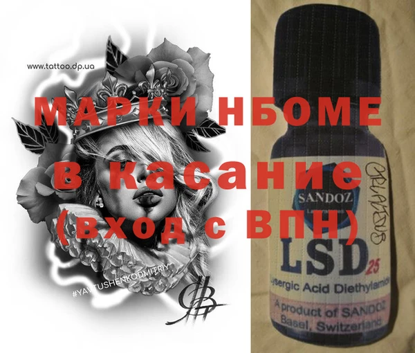 гашик Ельня