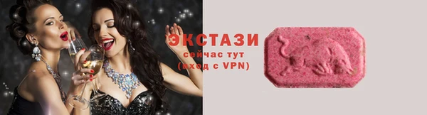 гашик Ельня