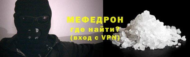 гашик Ельня
