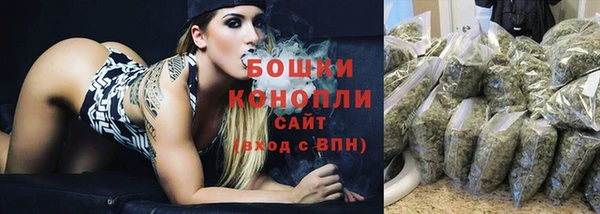 гашик Ельня