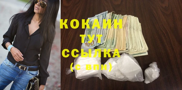 гашик Ельня