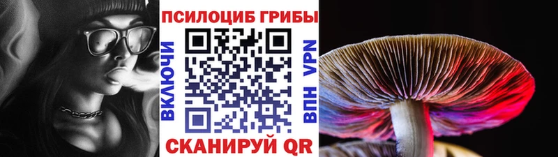 Галлюциногенные грибы ЛСД  Купить закладки  Ладушкин 